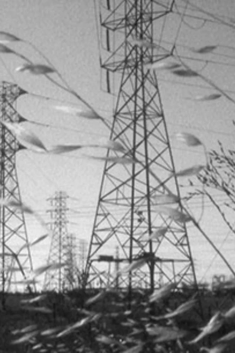 Marginalia poster background