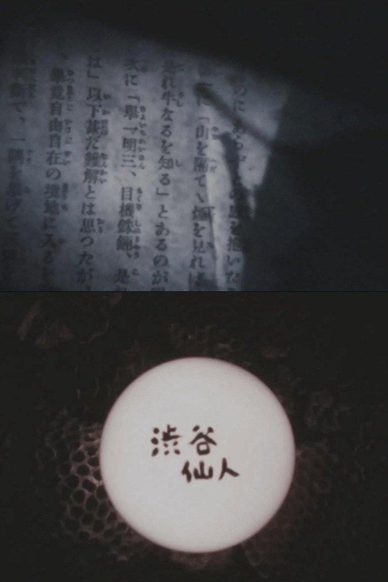 Shibuya Hermit poster background