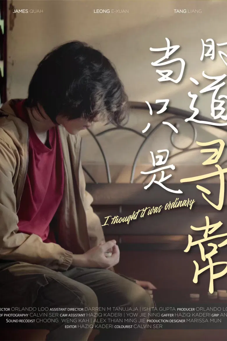 I Thought It Was Ordinary poster background