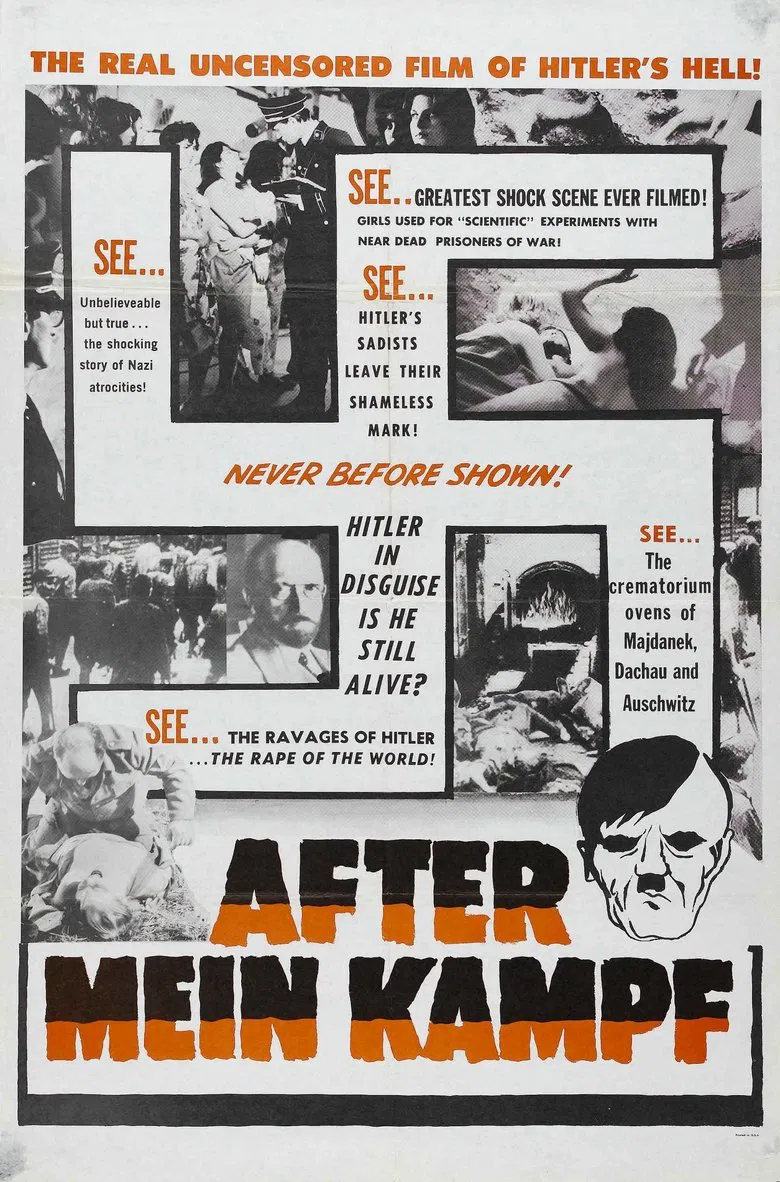 After Mein Kampf? poster background
