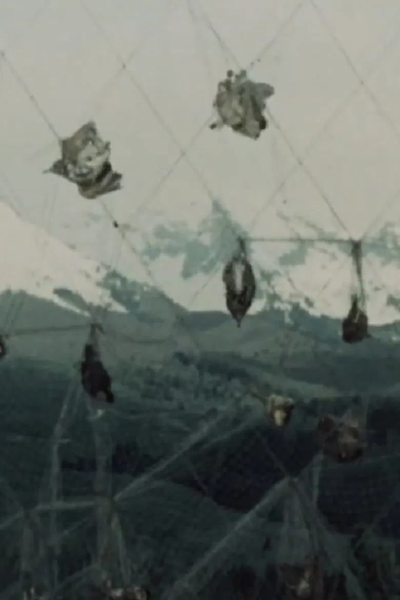 Uccellanda poster background