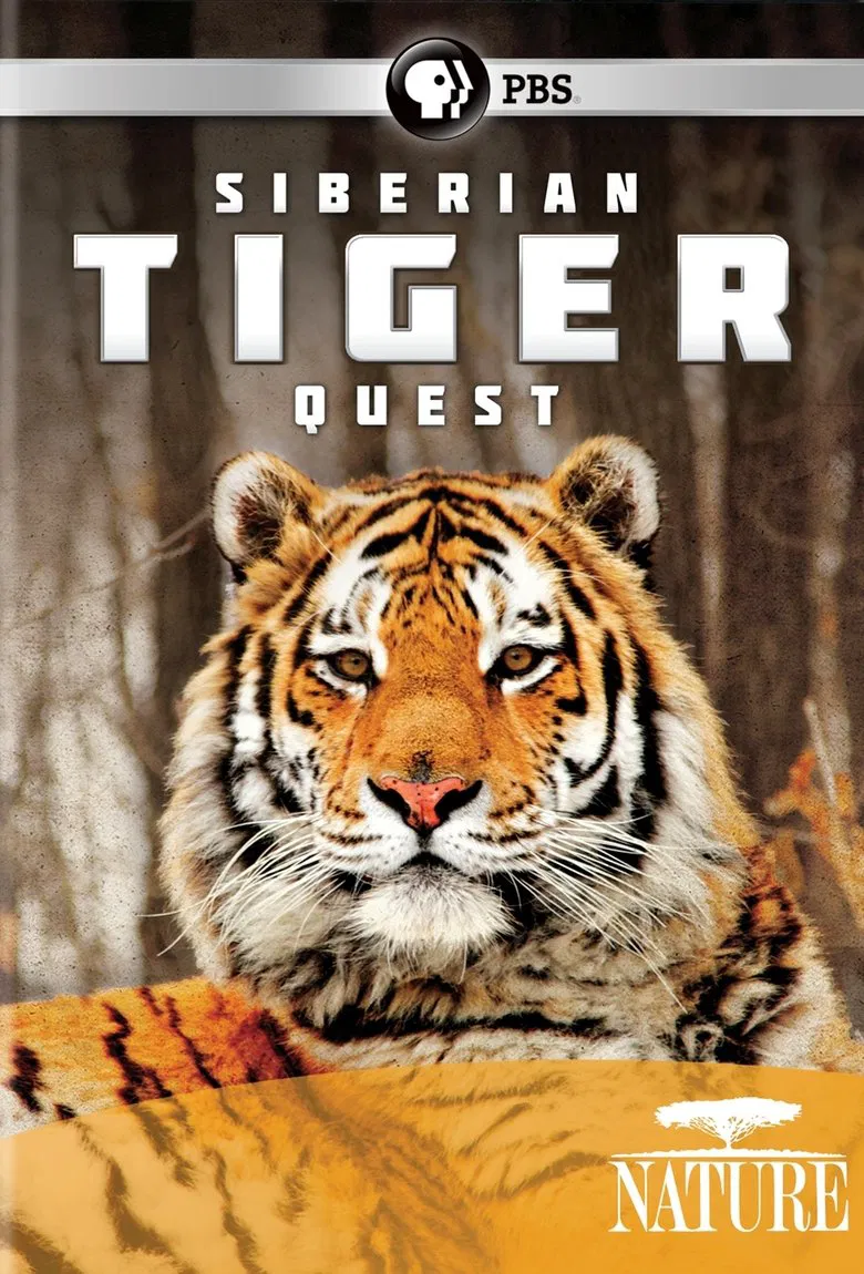 Siberian Tiger Quest poster background