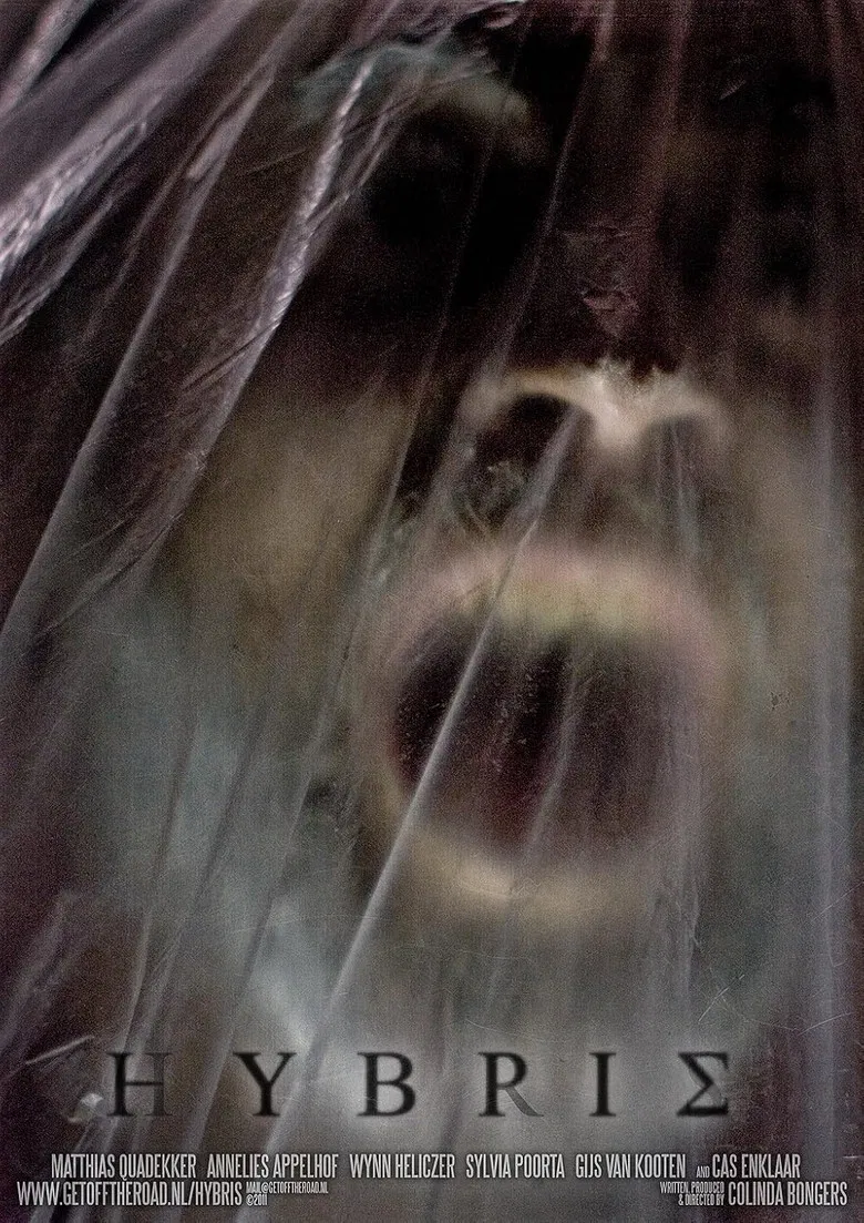 Hybris poster background