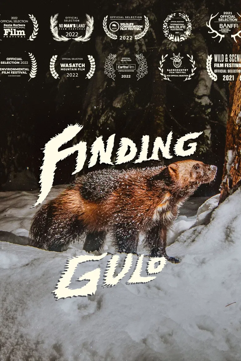 Finding Gulo poster background
