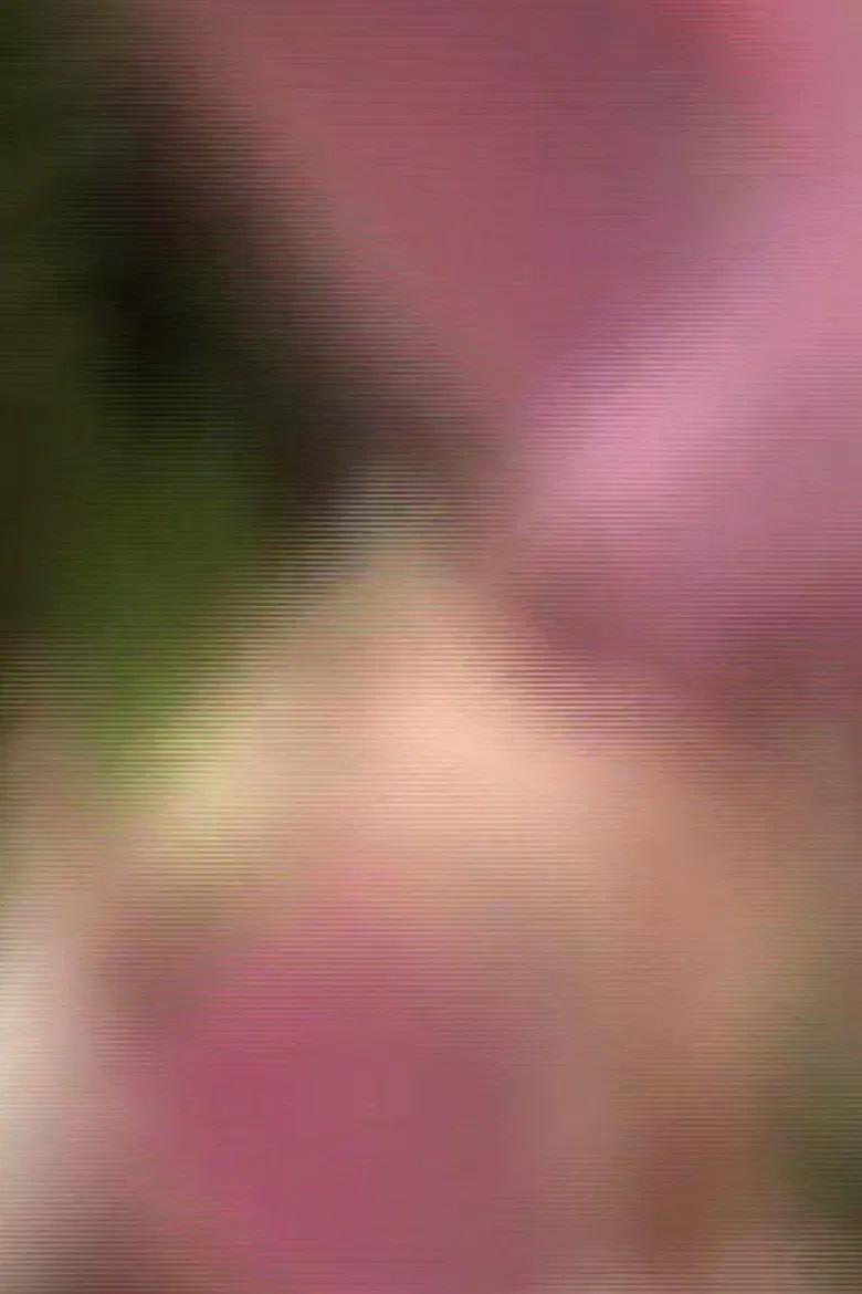 Valle Lindo poster background