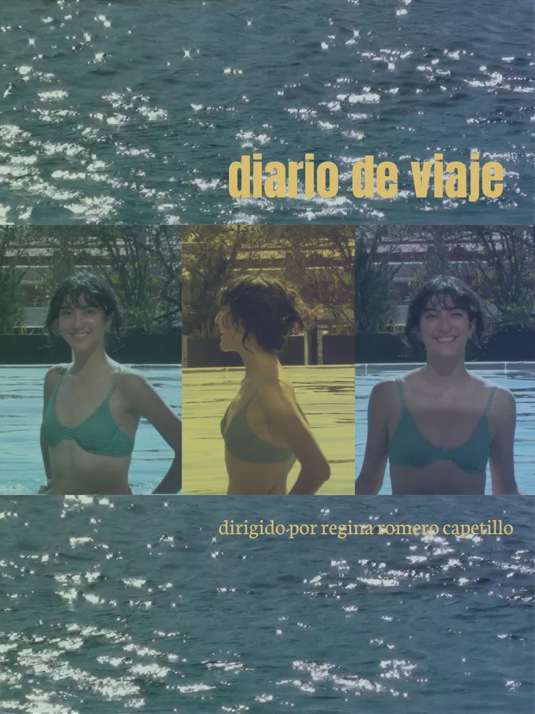 diario de viaje poster background