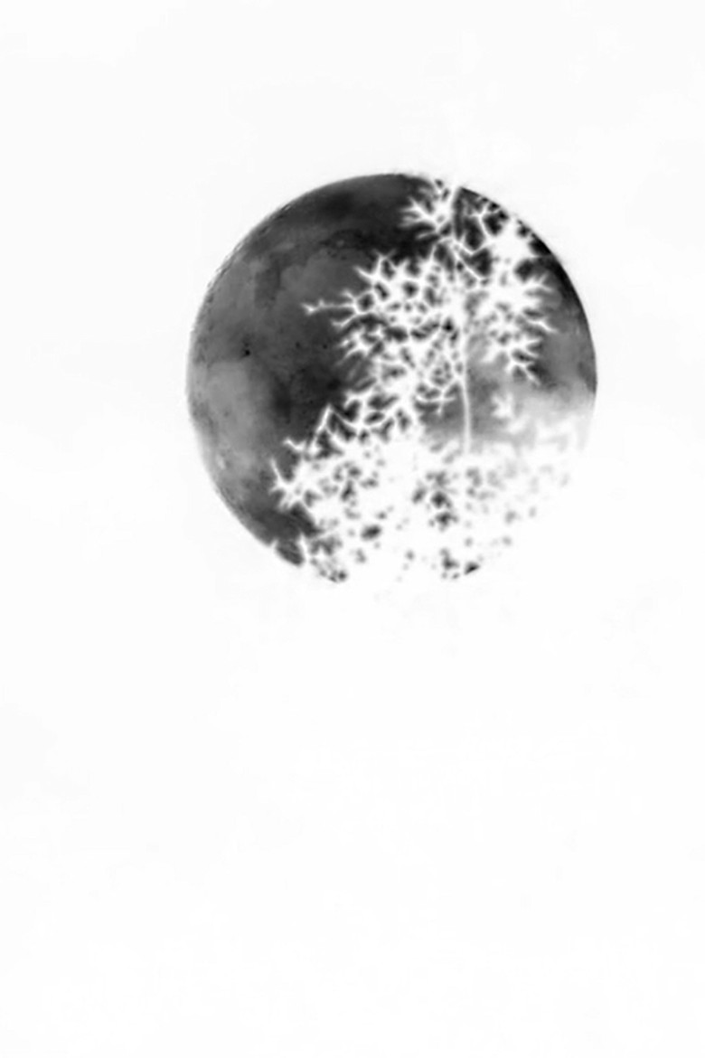 Negative Capability poster background