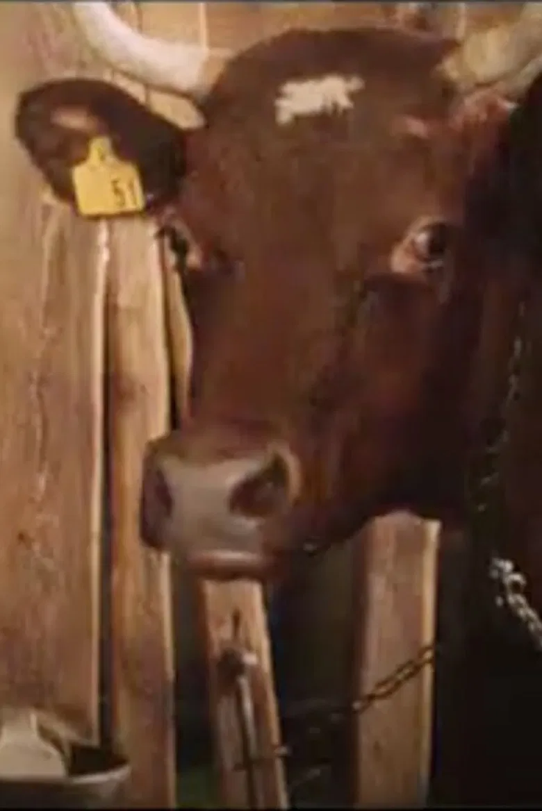 Del av den värld som är din : en kofilm poster background