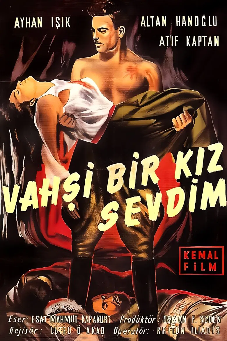 Vahşi Bir Kız Sevdim poster background