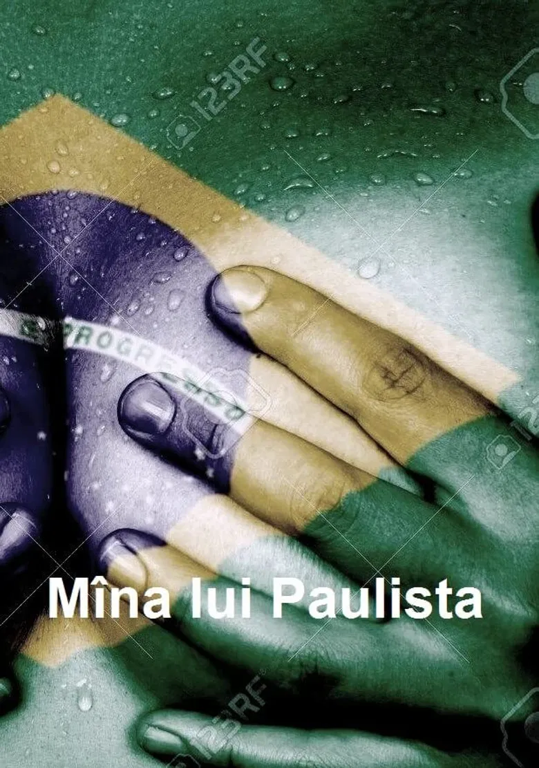 The Hand of Paulista poster background