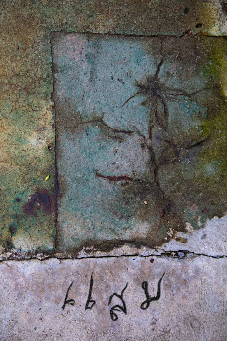 Habitare poster background