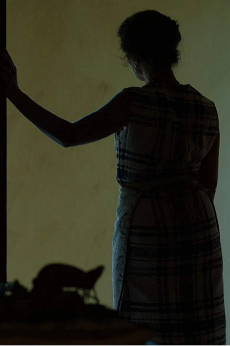 Tamed poster background