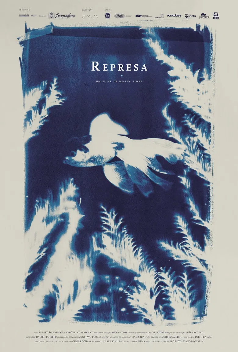 Represa poster background