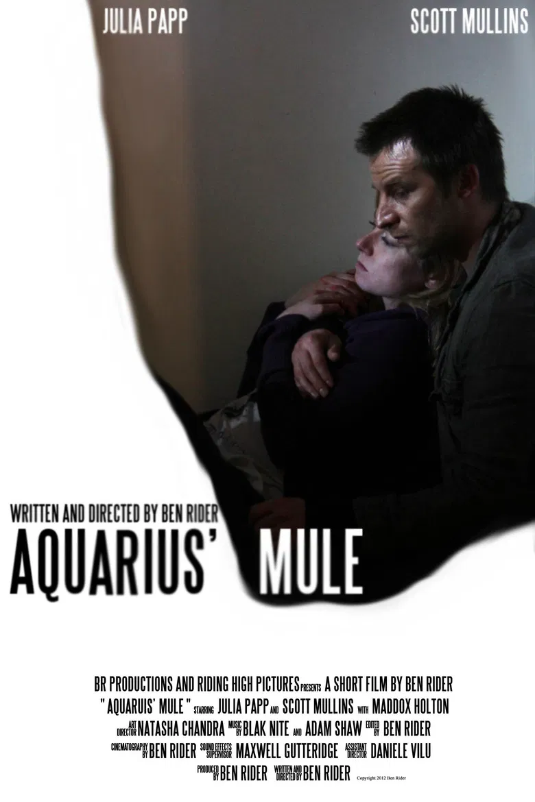 Aquarius' Mule poster background