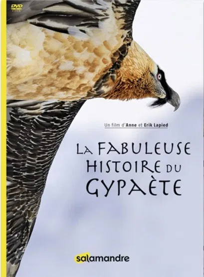 The Fabulous History of the Bearded Vulture poster background