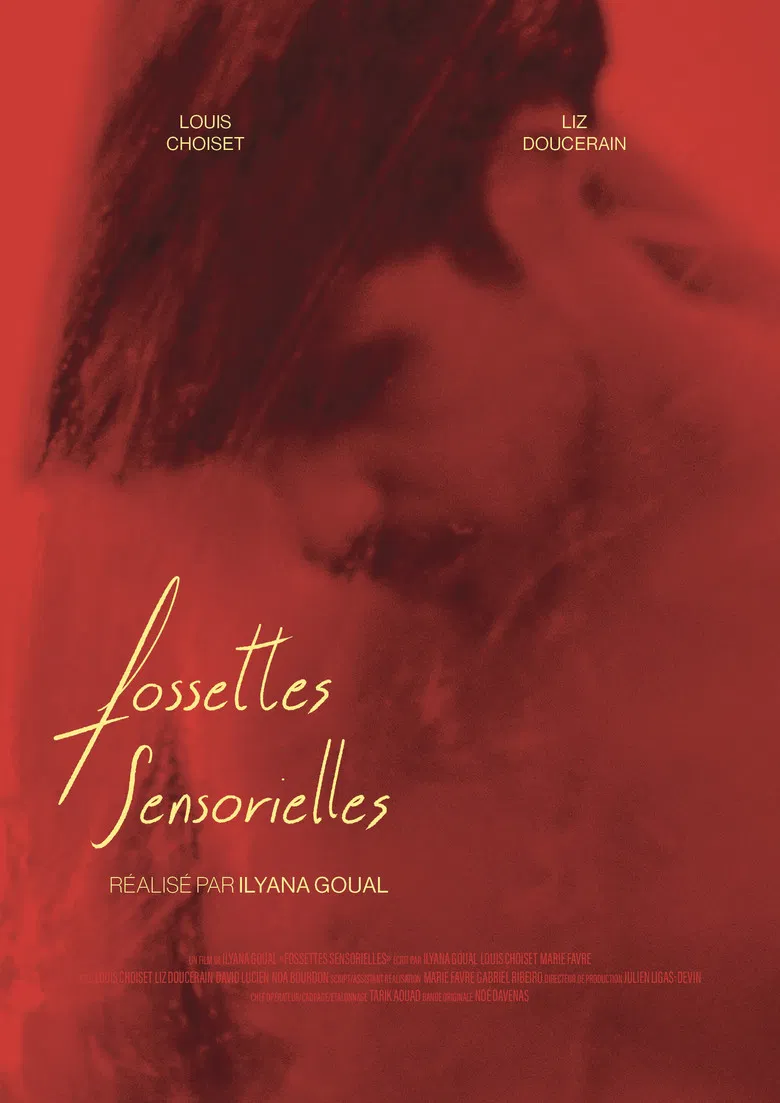 Sensory pits poster background