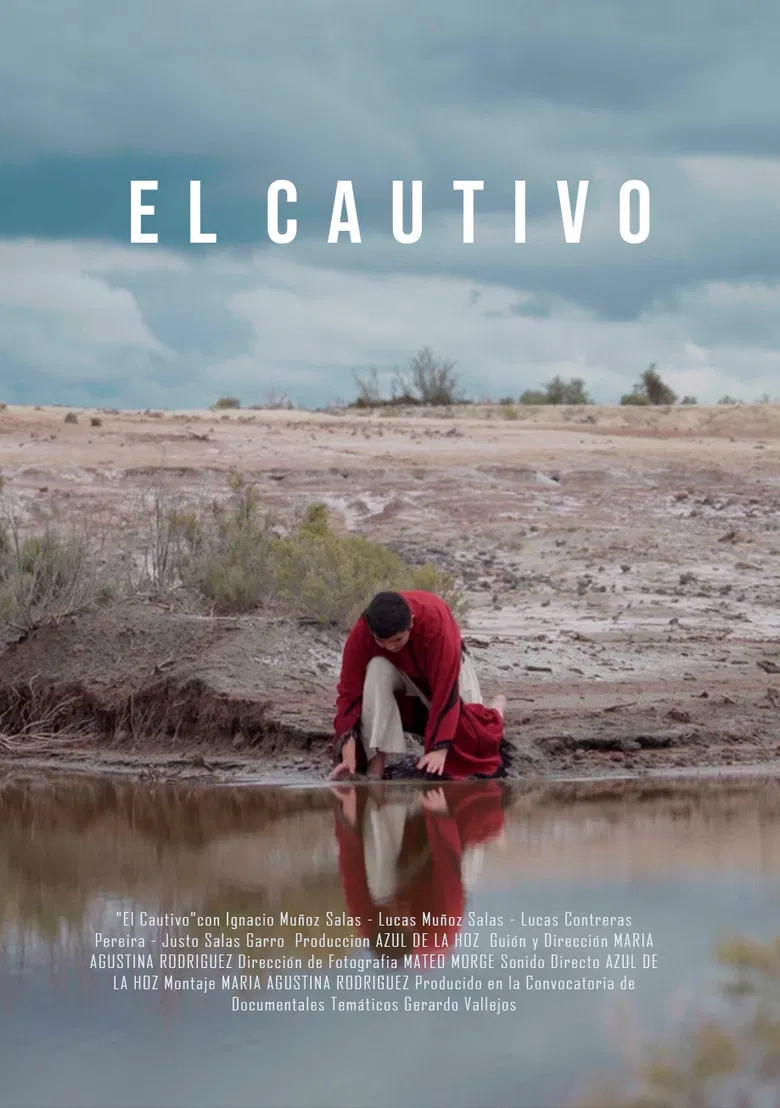 The Captive poster background