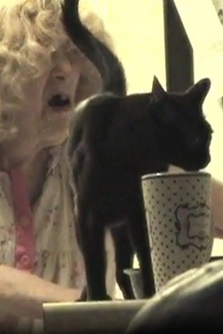 The Butchered Beefcake poster background