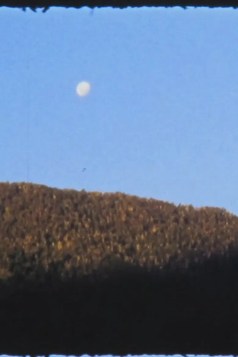 El Manso poster background