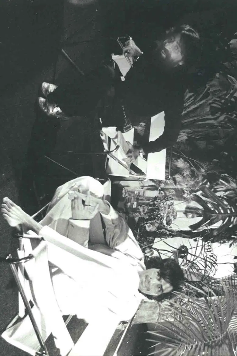 La Cotorra I poster background