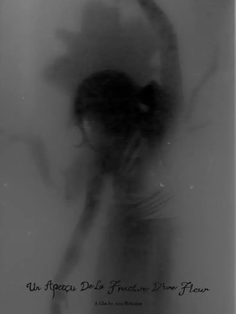 Un Aperçu De La Fracture D’une Fleur poster background
