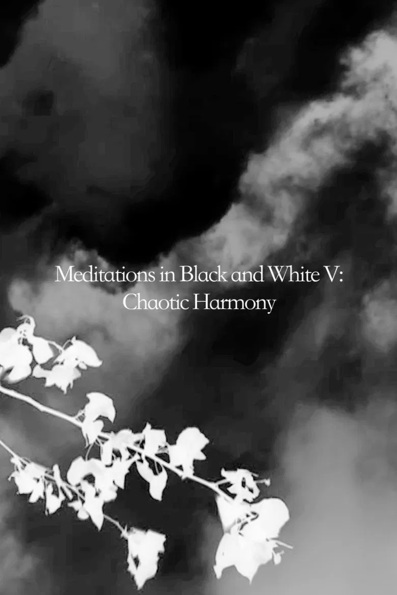 Meditations in Black and White V: Chaotic Harmony poster background