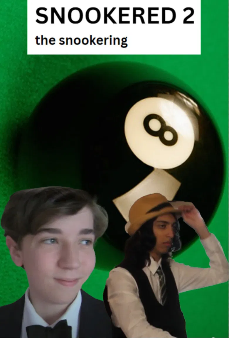 Snookered 2 poster background