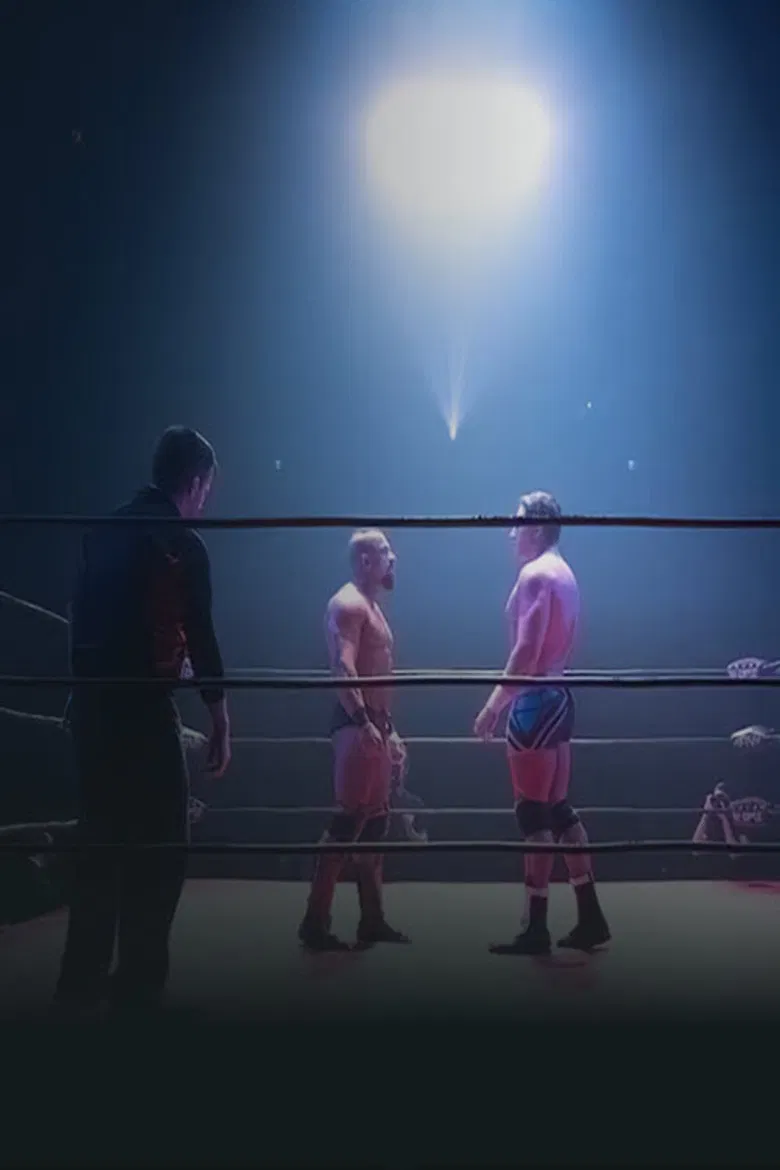 Dans le ring du Diamant poster background