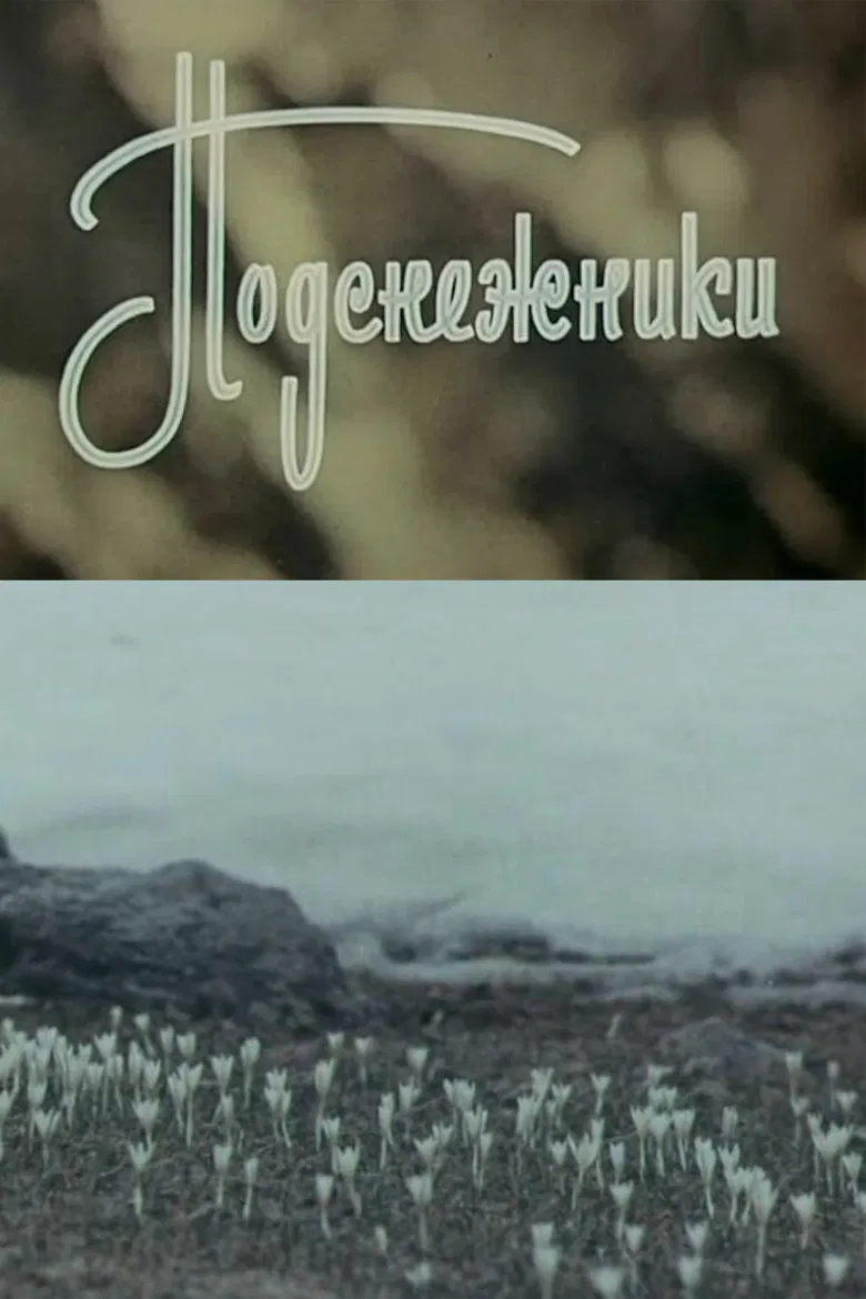 Snowdrops poster background