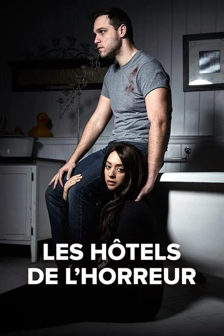 Do Not Disturb: Hotel Horrors poster background