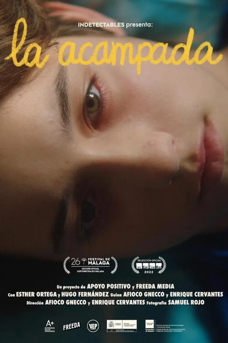 La acampada poster background