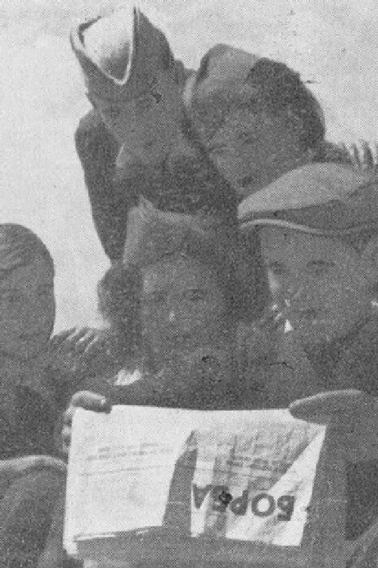 Let Everybody Vote poster background