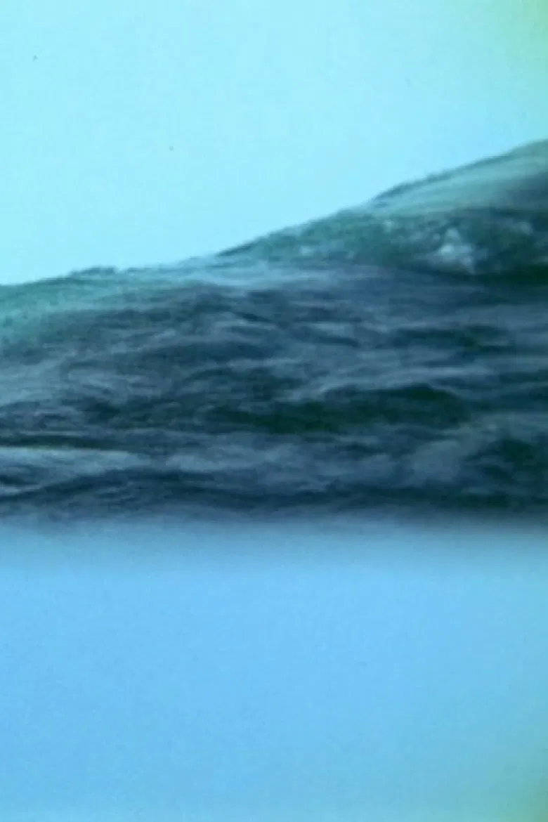 Translucent Appearances poster background