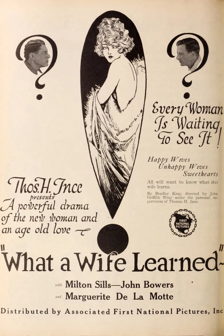What a Wife Learned poster background
