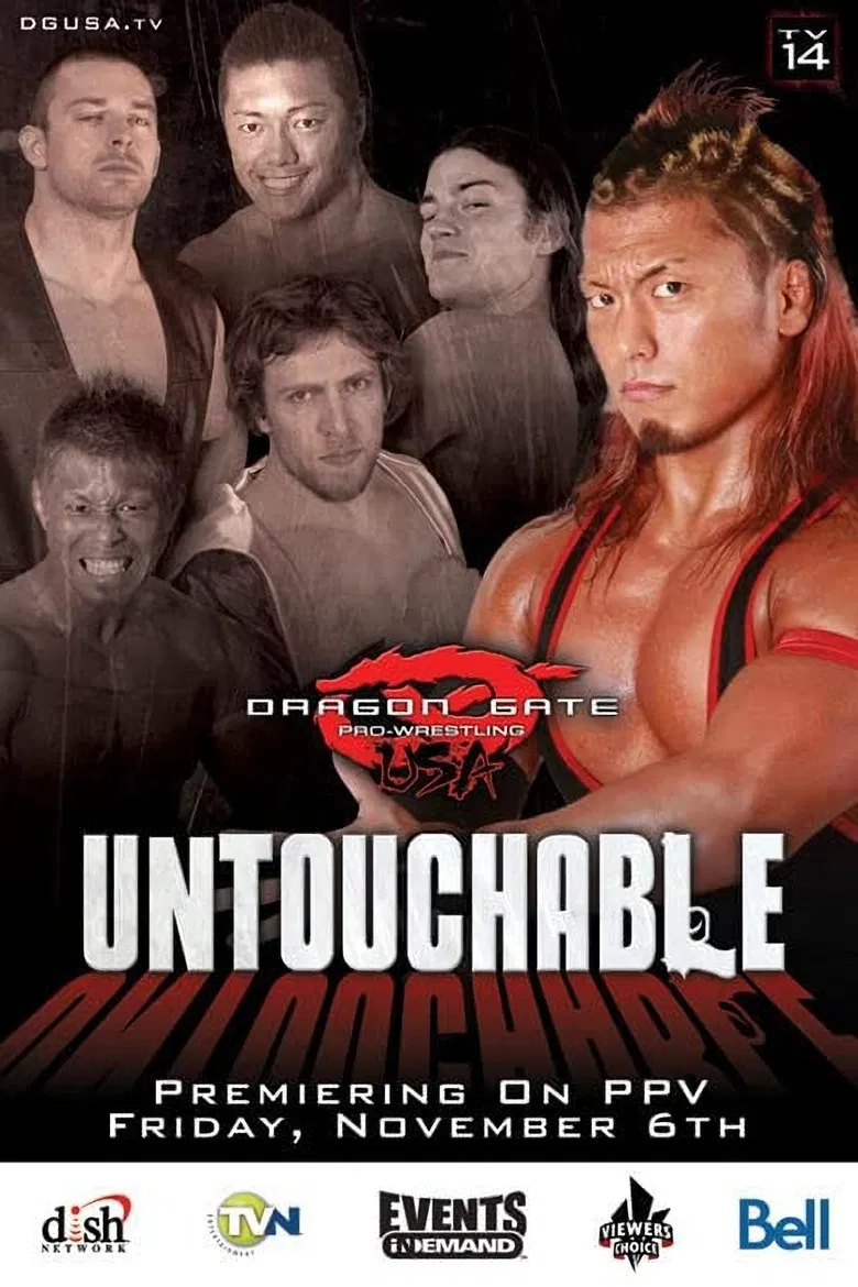DGUSA Untouchable 2009 poster background