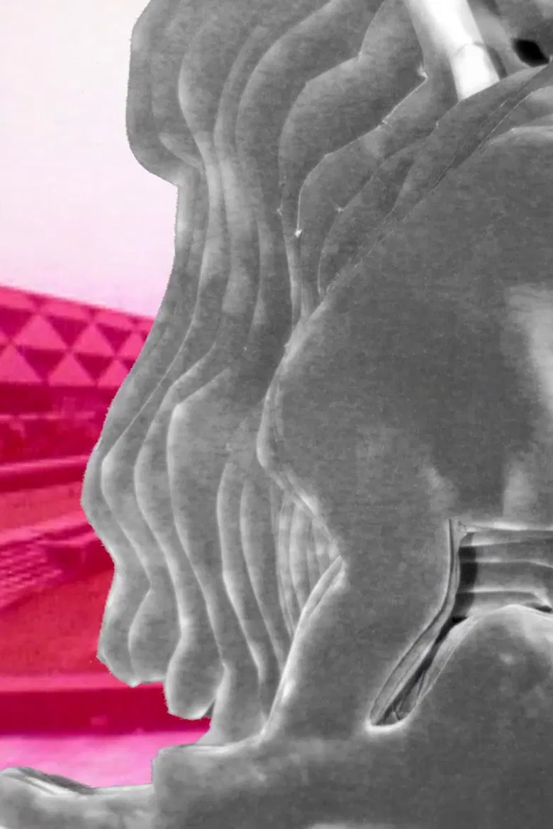 On the Nature of the Bone poster background