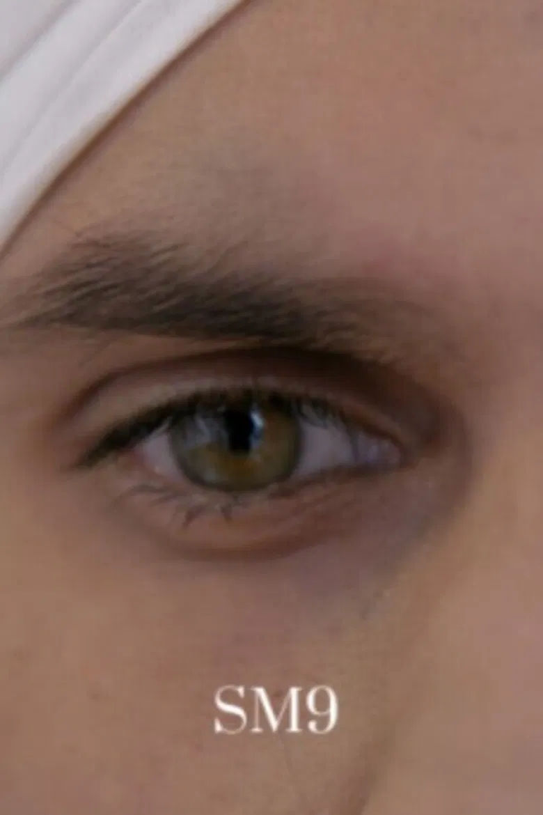 SM9 poster background