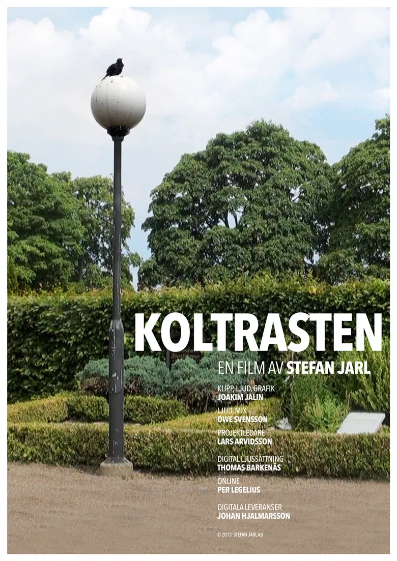 Koltrasten poster background