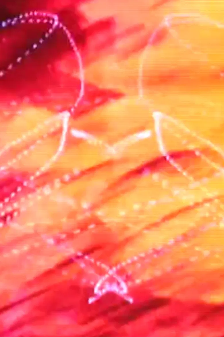 OM II poster background