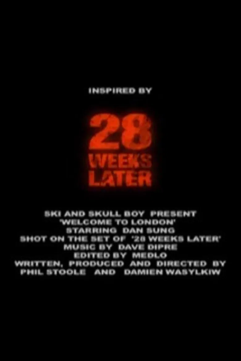 28 Weeks Later: Welcome to London poster background