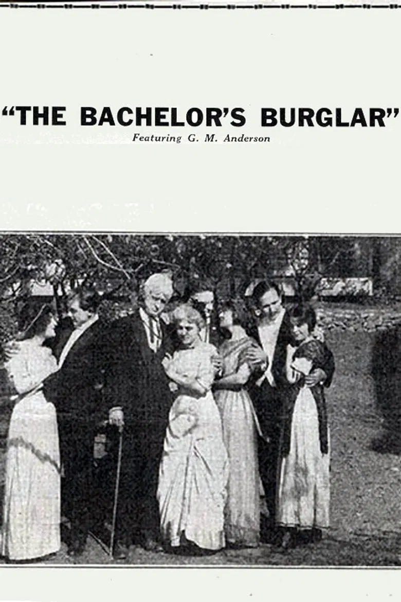 The Bachelor's Burglar poster background