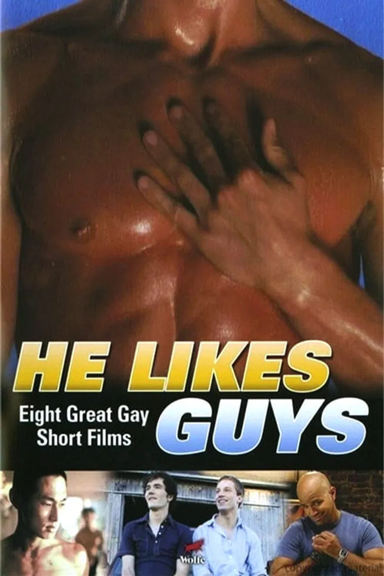He Likes Guys poster background