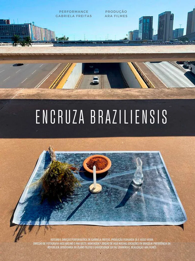 Encruza Braziliensis poster background