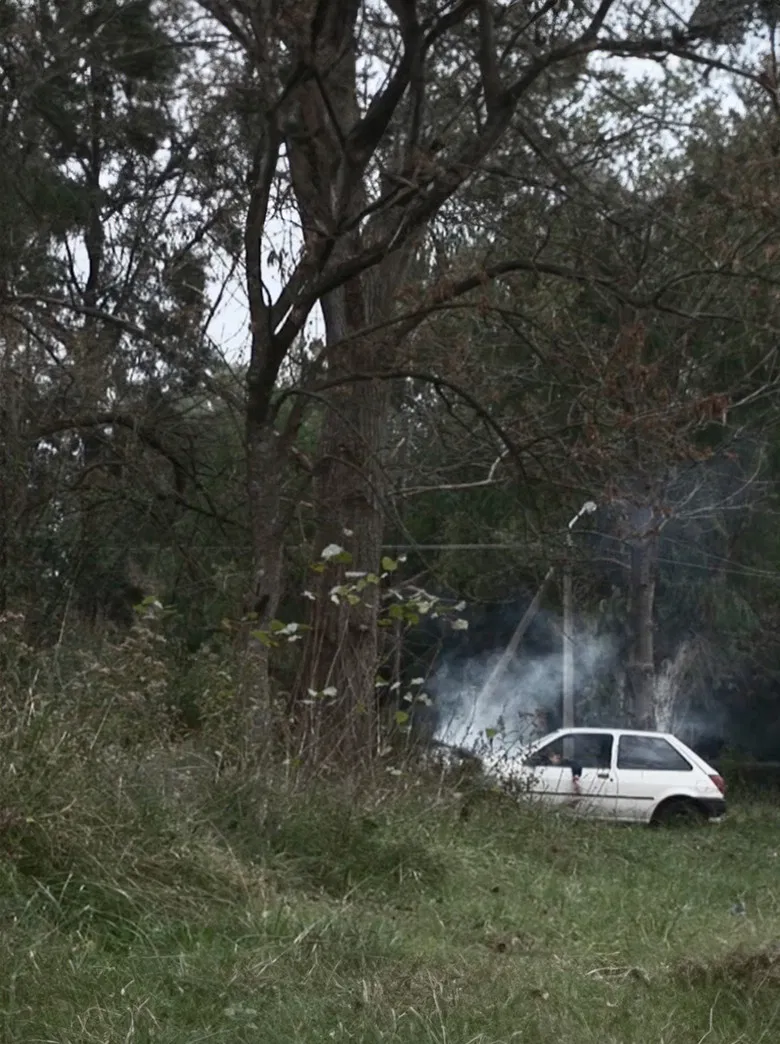 La mujer que usaba esparcidas las ondas del pelo poster background