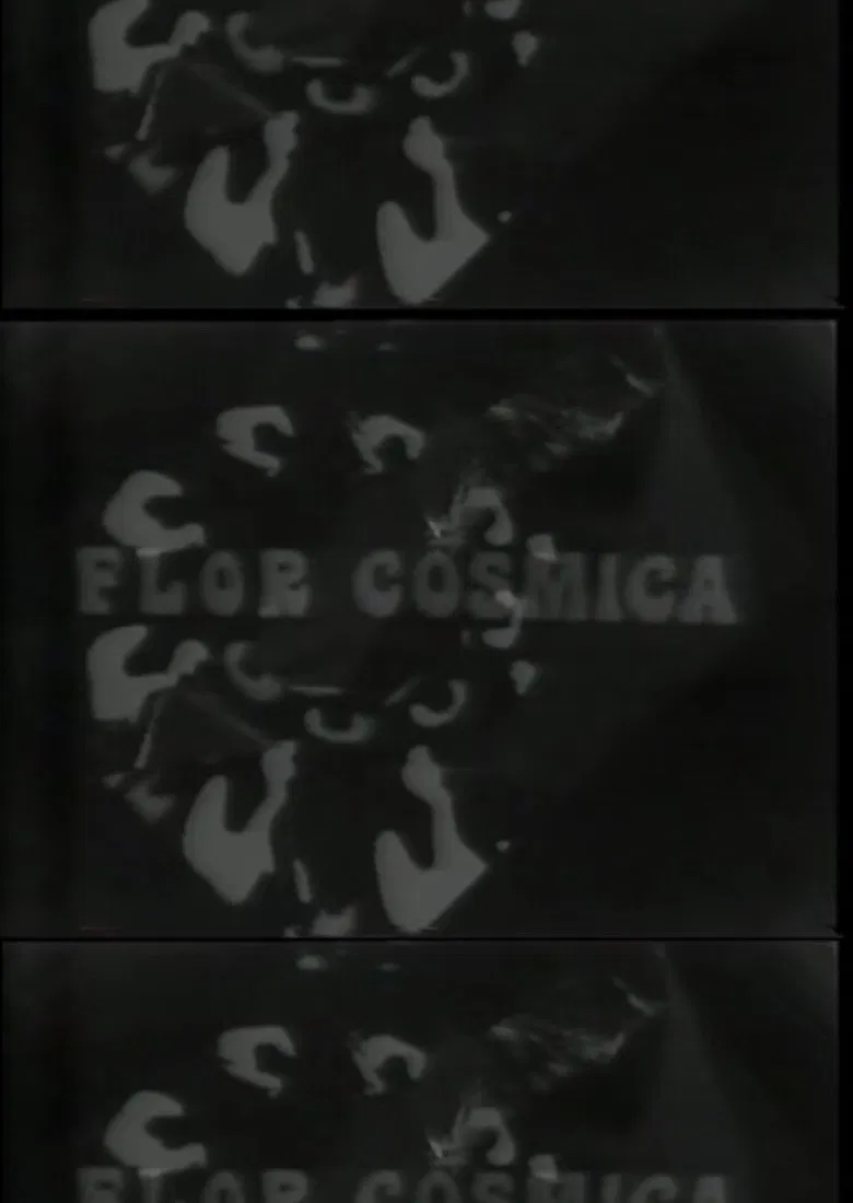 Flor Cosmica poster background
