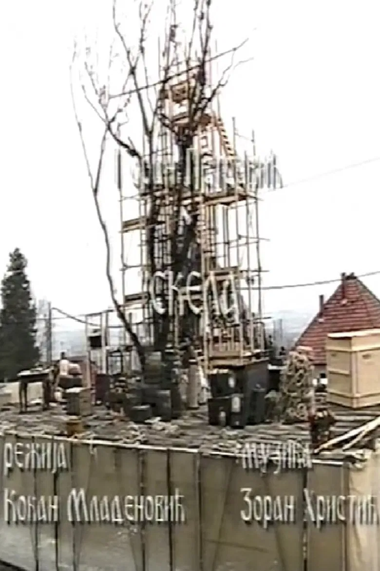 Scaffold poster background