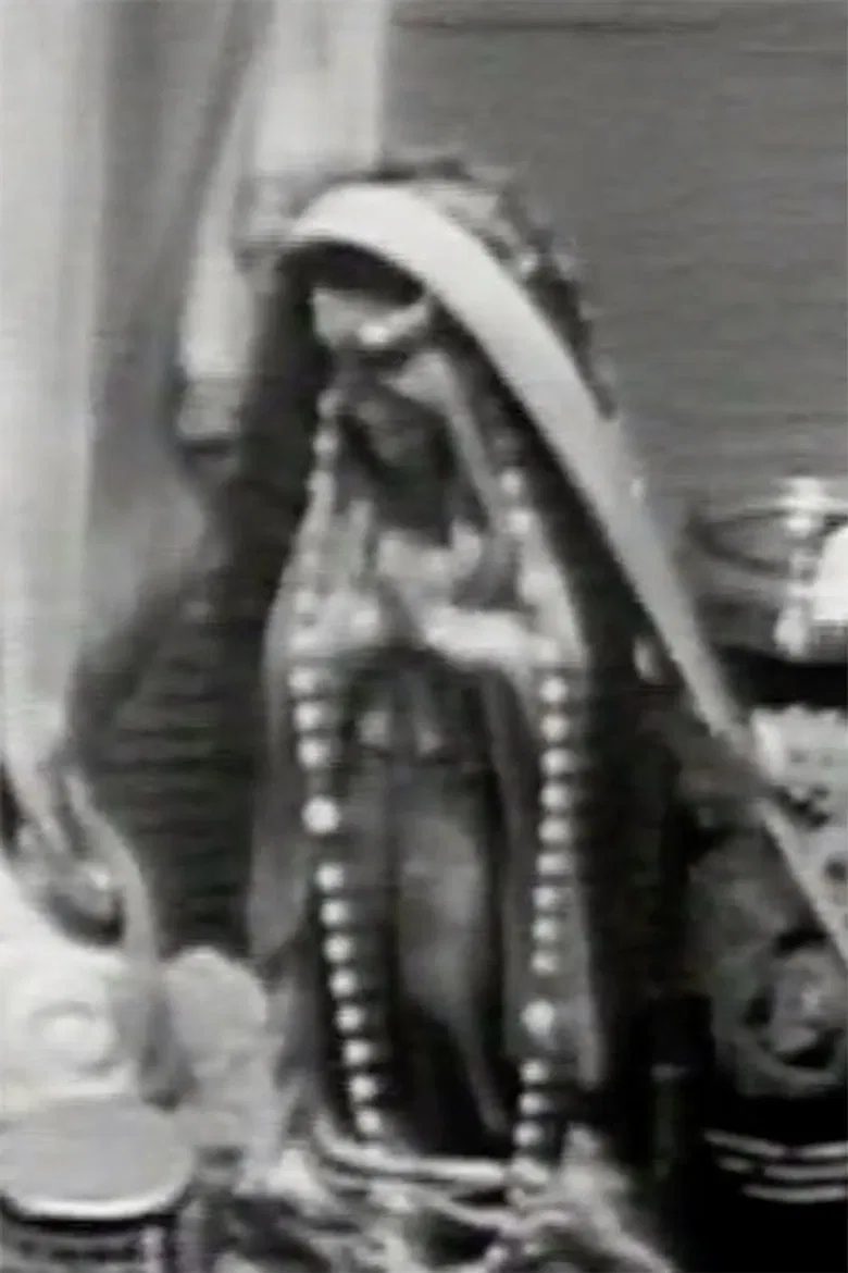 Brincando el Charco: Portrait of a Puerto Rican poster background