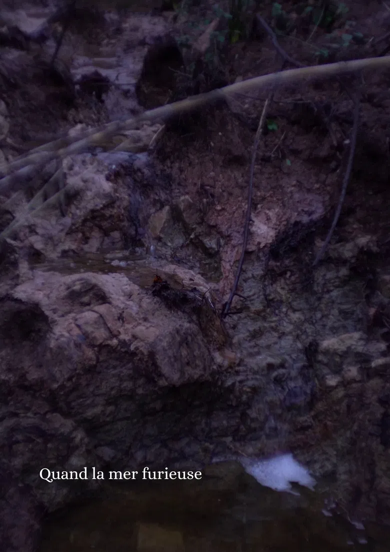 Quand la mer furieuse poster background