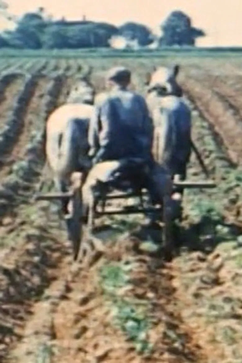 Prince Edward Island poster background