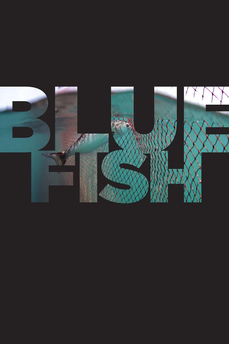 Bluefish poster background